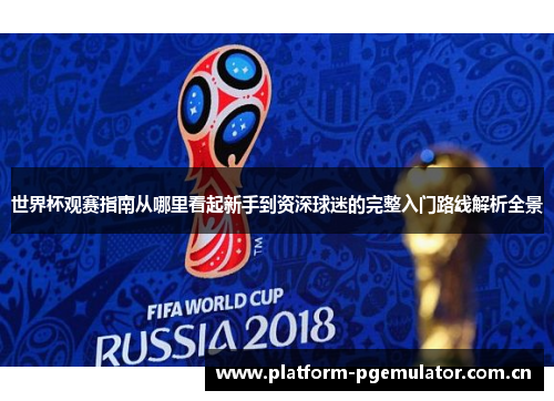 世界杯观赛指南从哪里看起新手到资深球迷的完整入门路线解析全景 世界杯观赛指南从哪里看起新手到资深球迷的完整入门路线解析全景