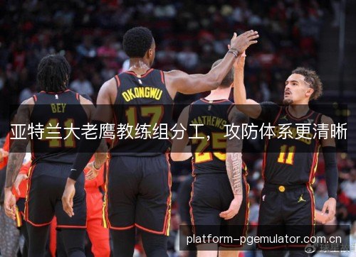 亚特兰大老鹰教练组分工，攻防体系更清晰